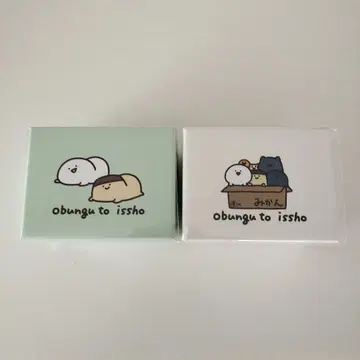 문구와 함께 뱅글 워치 전 2종 컴플리트 세트