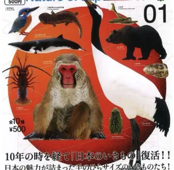 NATURE OF JAPAN 일본의 생물 01 전 10종 세트