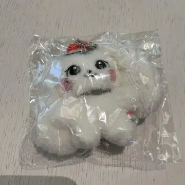 IVE 원영 봉제 인형 키링 시부야 POP UP