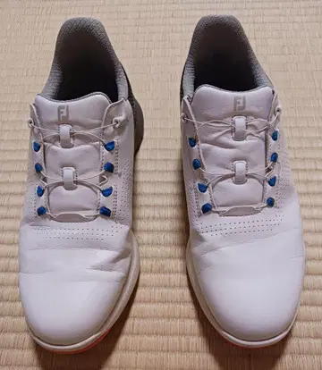 FOOT JOY FJ 풋조이 골프화 55448J 25.5cm
