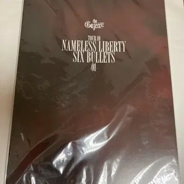 the GazettE 팜플렛 NAMELESS LIBERTY REITA