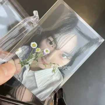 enhypen 요이 정원 타워레코드 한정 럭키드로우