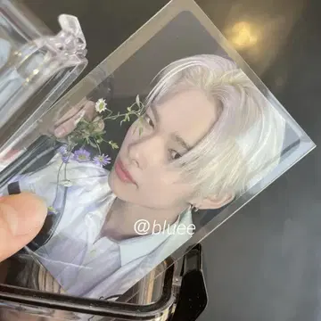enhypen 요이 니키 타워 레코드 한정판 라키드로
