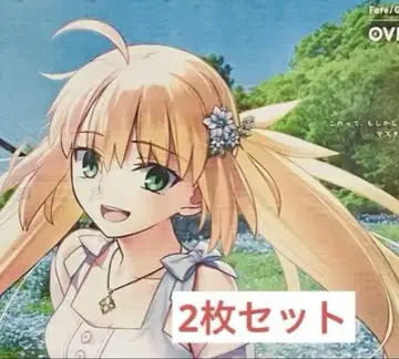 2매 세트 FGO 도쿠시마 신문 캐스토리아 fgo
