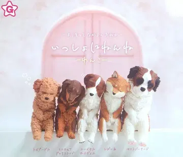 함께 자는 아기 강아지