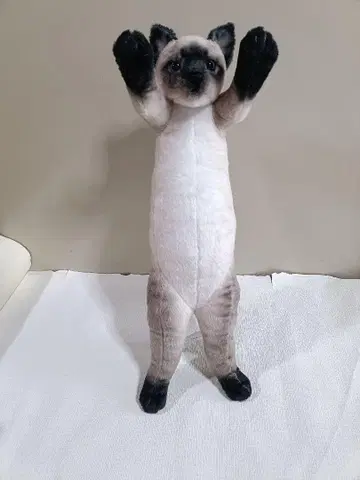 타치이 ZOO 냥코4 봉제 인형 샴고양이 60cm!