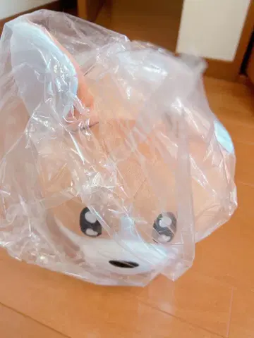 요루시카 suis 디자인 코기 봉제 인형