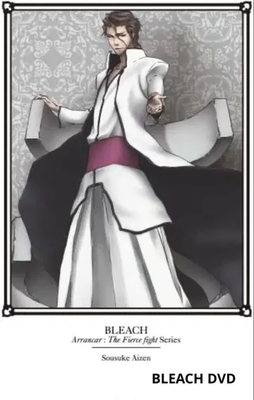 BLEACH 블리치 DVD 초회 사양 한정판 파면 격투편2 프리미엄 박스