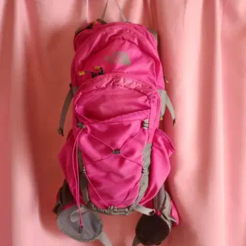 THE NORTH FACE 핑크 백팩 여성용