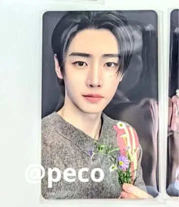 엔하이펜 송훈 옐로우 스토어 라키드로 타워레코드