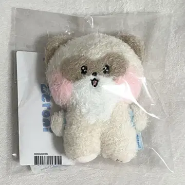 ZB1 zeroni Jianhao Hani 봉제 인형 메시지 키링