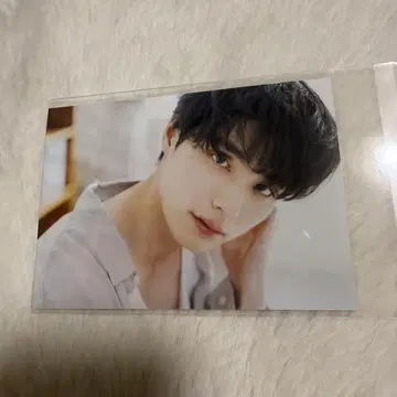 혼다 코야 팬미팅 랜덤 브로마이드