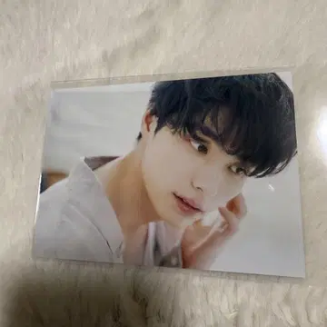 혼다 쿄야 팬미팅 랜덤 브로마이드