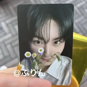 enhypen 덧없음 정원 타워 레코드 한정판 럭키 드로우