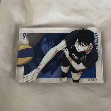 하이큐! 카게야마 토비오 아크릴 블록 베이스 야드 도쿄