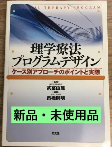 물리 치료 프로그램 디자인: 케이스별 접근 방식의 포인트와 실제