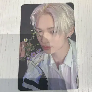엔하이펜 니키 밤 매장 라키드로 타워레코드