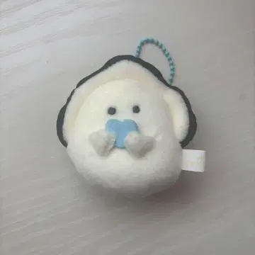 둥근 눈동자의 나마가키 스카이블루