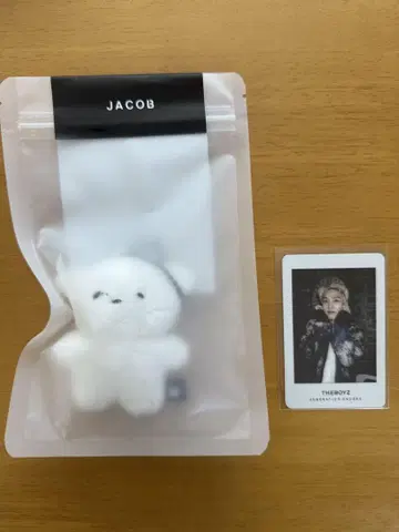THE BOYZ JACOB 봉제 인형 포토 카드 세트