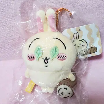 치이카와 이거 혹시 수박 깨기? 마스코트 토끼 택 포함