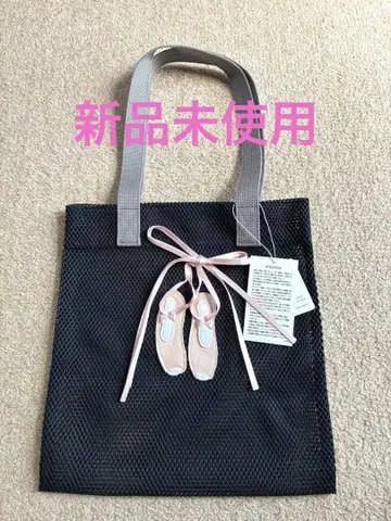 라들로 메쉬 토트백 네이비 발레 슈즈 LUDLOW