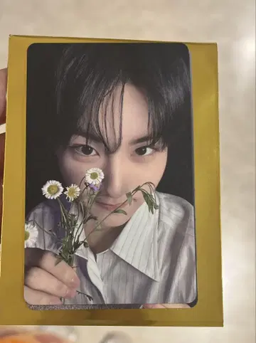 정원 타워 레코드 럭드 요이