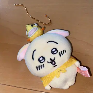 치이카와 (먼작귀) 시가 토끼