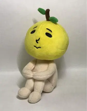 유자 유자 타로 봉제 인형
