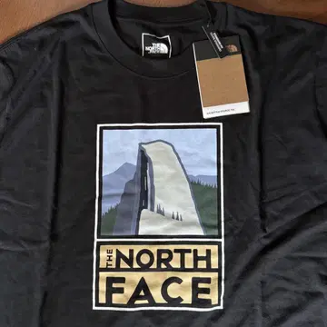 THE NORTH FACE 사진 그래픽 하프 돔 로고 L