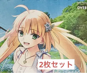 2장 세트 FGO 도쿠시마 신문 캐스트리아 fgo