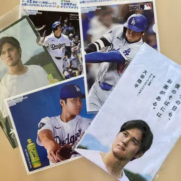 오타니 쇼헤이 선수 오-이 오차 클리어 파일 타월