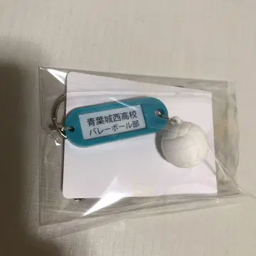 하이큐 열쇠 참 아오바죠사이