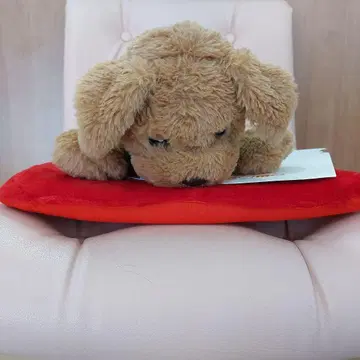 코코치모 프린스다키 타카라토미