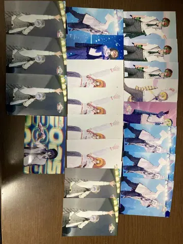 파라피치 랜덤 사진
