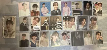세븐틴 성광