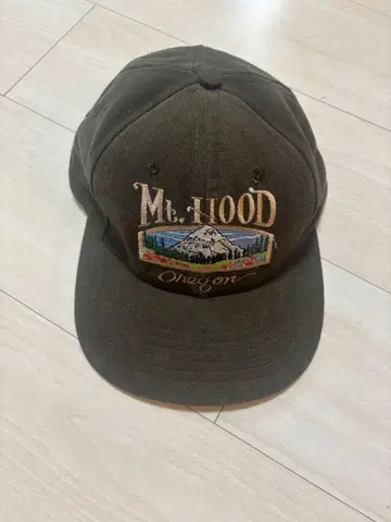 Mt. Hood Oregon 캡