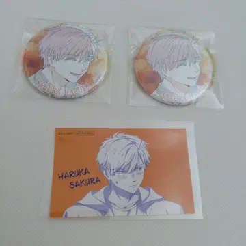 WIND BREAKER 윈브레 TSUTAYA 캔뱃지 혜택 벚꽃