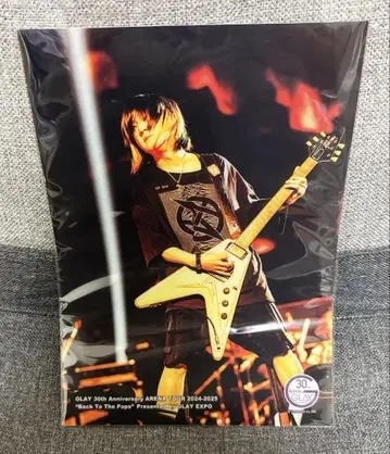 GLAY 엔터테인먼트 복권 vol.2 클리어 포스터 상 HISASHI