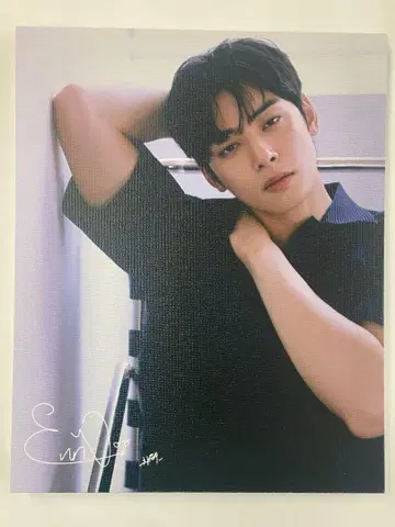 차우누 캔버스 패널