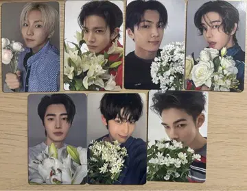 enhypen  weverse 7 형태 혜택 컴프