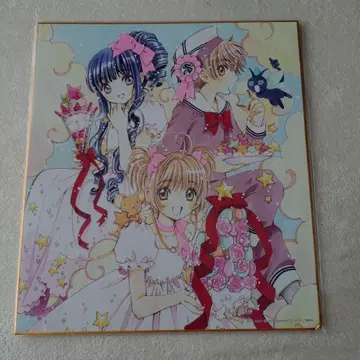 NO.647 CLAMP 색지