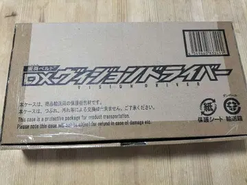 DX 비전 드라이버
