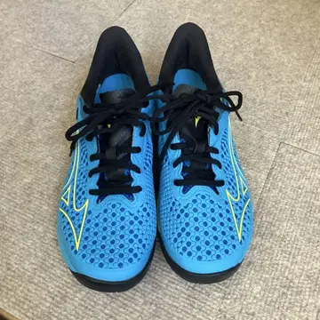 Mizuno 테니스화 웨이브 엑시드 TOUR 5 AC 올 코트