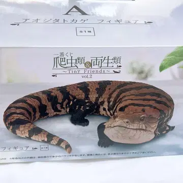 제일복권 파충류 및 양서류 A상 아오지타 도마뱀 피규어
