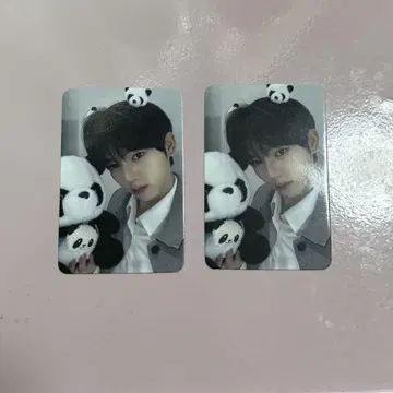 한유진 팬더 사진 카드 2장 세트