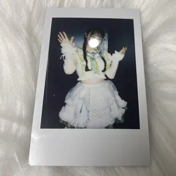 와카바 노아 폴라로이드