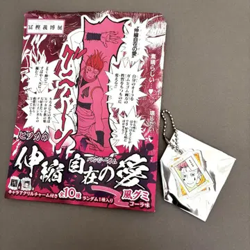 HUNTER x HUNTER 히소카 이르미 토가시 요시히로 번지검