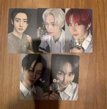 ENHYPEN 요이 YOI 트레이딩 카드 타워레코드 특전 럭키드로우 5장