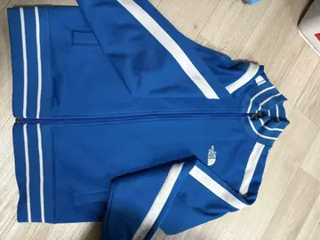 THE NORTH FACE 파랑 스트라이프 저리 M