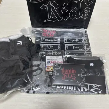 Stray Kids domin 업그레이드 굿즈